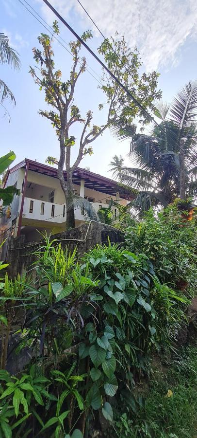 Wimala B&B Bentota Eksteriør bilde